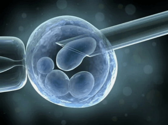 Stem cells for knee treatment